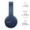 Sony Wireless Headphones Bluetooth AAC Compatible Up To 35 Hours of Continuous Playback 2019 Model with Microphone Blue L WH-CH510 / / / / / WH-CH510