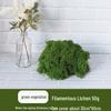 Artificial Simulation Moss Grass for Landscaping and Potted Arrangements