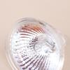 Ac/Dc 12V Halogen Bulb Lamp Cup Light Mr11 Mr16 Gu5.3 Gu10 High Brightness Spotlight