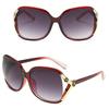 Women Shades Oversized Eyewear Classic Designer Sunglasses LXY