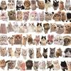 60 Cute Internet Celebrity Cat Expression Stickers for Graffiti and Notebooks
