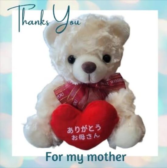 [Sai] Плюшевая игрушка на 60-летие с посланием [Спасибо Мама, Спасибо Папа] Подарок на День Матери, День Отца, День Рождения, Уважение к