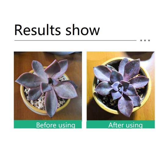 50ML Plant Nutrient Promote Sprouting Rapid Flowering Fast Potting Rooting Plant Nutrient Solution Supplement Garden Tool