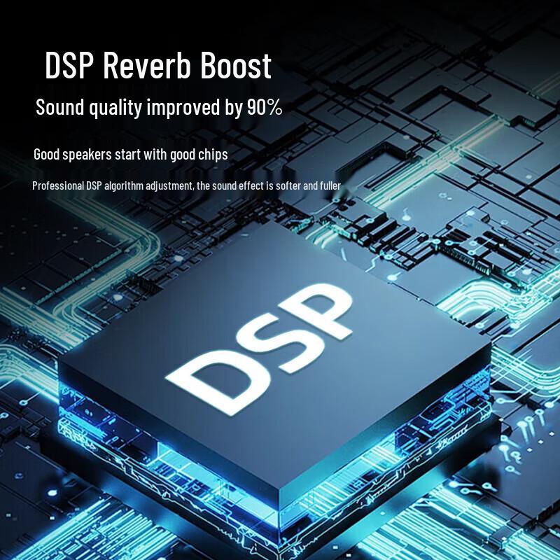 Philips SD308 Portable Karaoke & Outdoor Bluetooth Speaker