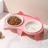 Ceramic Cat Food & Water Bowl with Slanted Design - Protects Cervical Spine, Anti-Tipping, Double Bowl for Feeding & Drinking