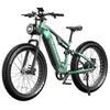 Electric Mountain Bike DUOTTS 26" 750W Motor Adult Ebike 48V 20AH Max Range 120Km Load 150Kg E26