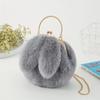 Plush Crossbody Bag Handheld Princess Bag Imitation Fur Bag Female Chain Bag Hundred with Cute Rabbit Ears Package