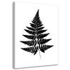 Canvas Print, Fern Leaf