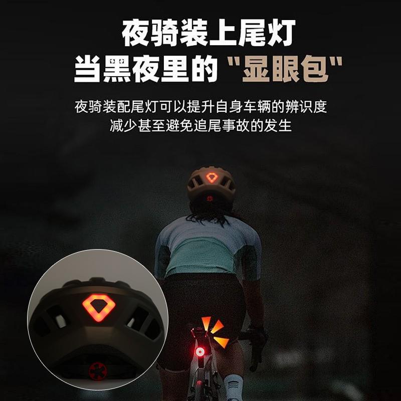 Adult Cycling Helmet Road Mountain Bikes One-Piece Molded Design PCEPS Unisex Size L 58-61cm