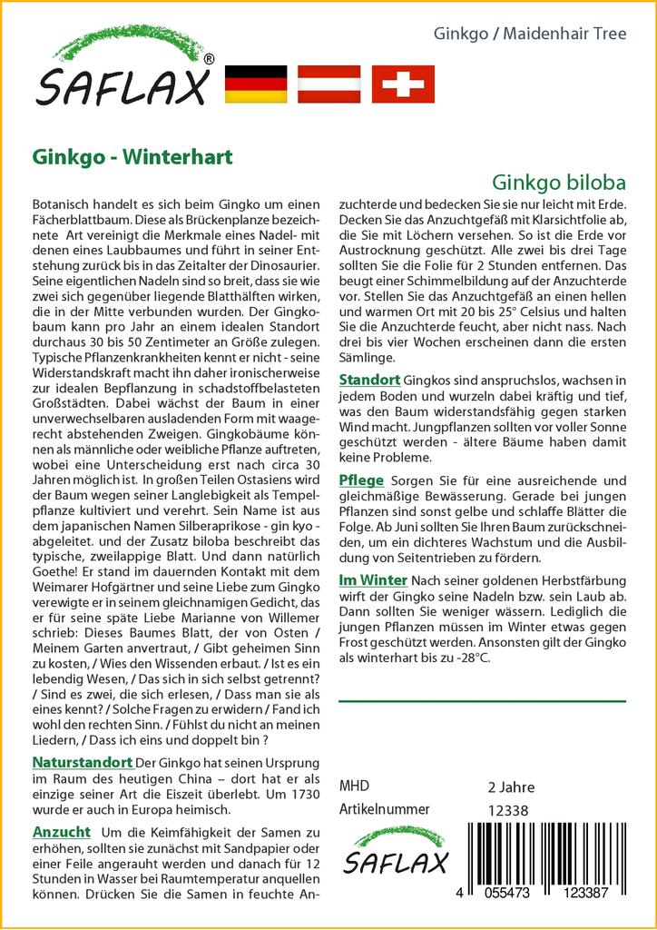 SAFLAX Авичий волос - 4 семени - Гинкго двулопастный