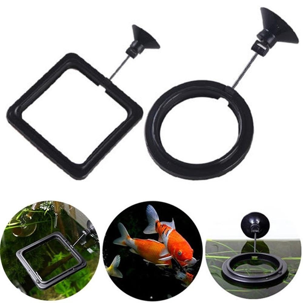 Square Pet Supplies Food Tray Feeder Food Floating Station Fish Feeder Buoyancy Circle Feeding Ring