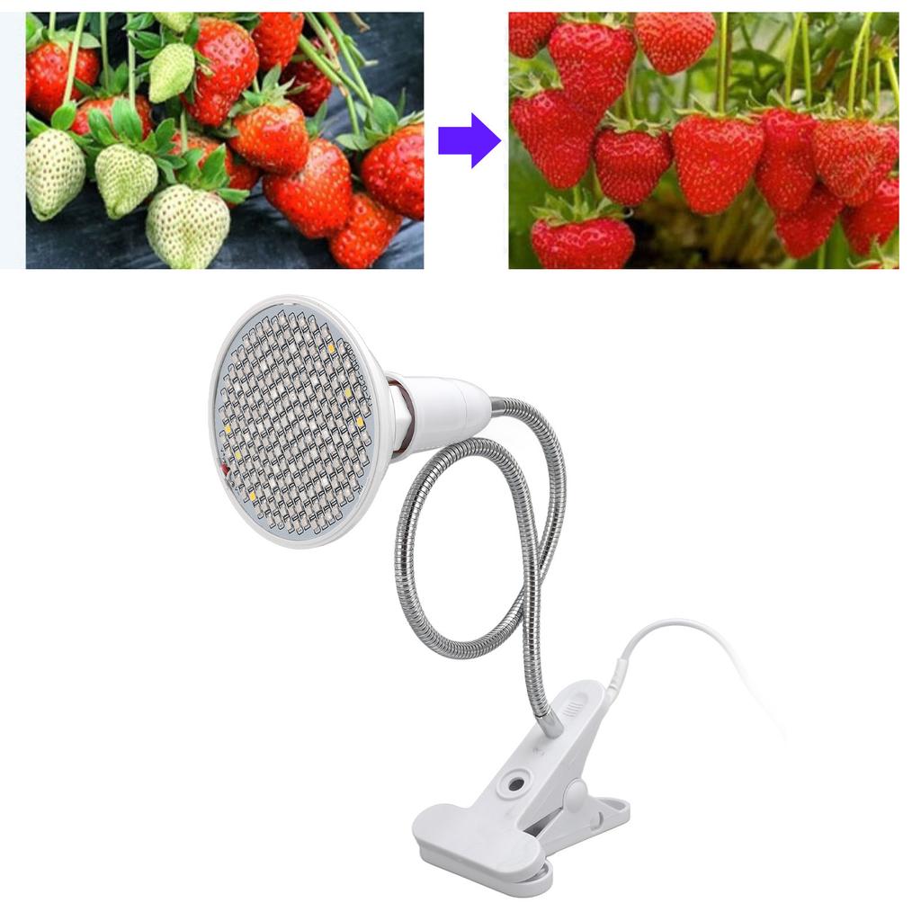 Grow Light LED Plant Light 8W Full Spectrum Desk Clip Gooseneck E27 Socket Growing Lamp for Indoor