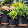 Yingtang Anthony European Style Plastic Planter