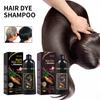 100ML 3-in-1 Hair Color Shampoo Ammonia-Free Herbal Ingredients Moisturising Protecting Hair Black Hair Dye