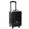 GAV K80 8-inch Portable Outdoor KTV Speaker