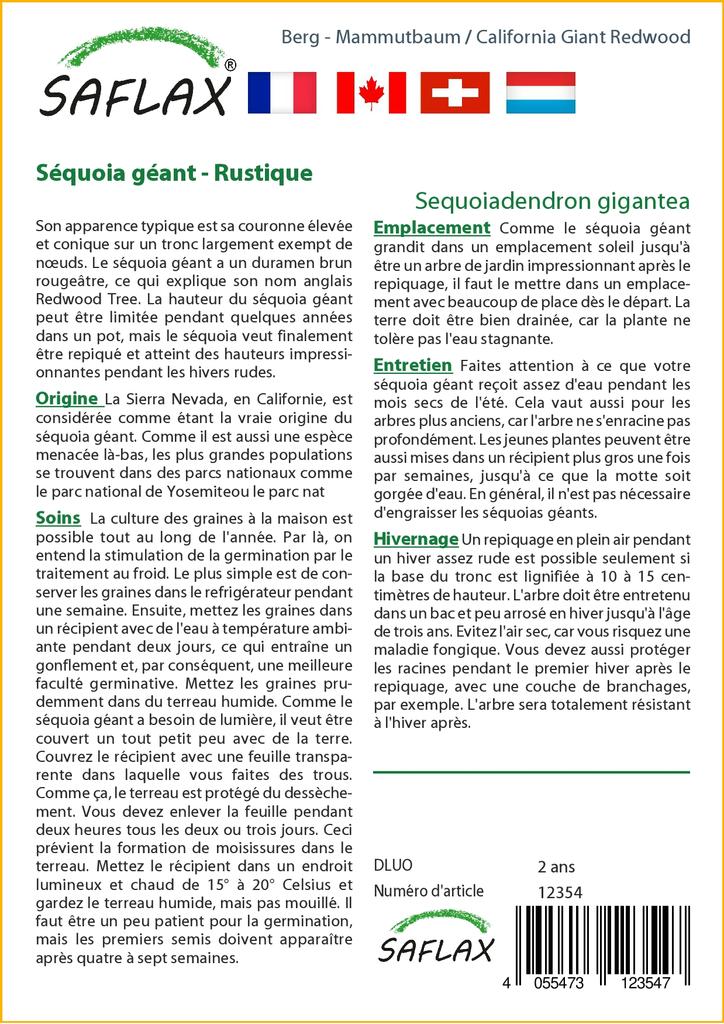 SAFLAX California Giant Redwood - 50 семян - С горшечным субстратом для лучшего выращивания - Sequoiadendron gigantea
