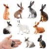 Rabbit Desktop Ornaments Simulated Zoo Rabbit Model Animal Figurine Home Decor Educational Toys