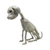 Halloween Animal Skeletons Dog Bat Frog Scorpion Spider Snake Rat Bone Skeletons for Halloween Party Haunted House Graveyard Scene Decoration