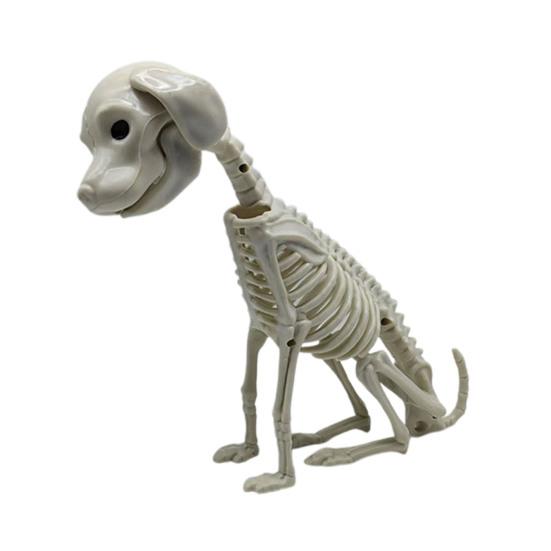 Halloween Animal Skeletons Dog Bat Frog Scorpion Spider Snake Rat Bone Skeletons for Halloween Party Haunted House Graveyard Scene Decoration