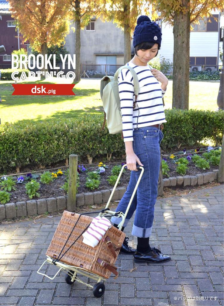 CB Japan Покупательская тележка Хаки Складная тележка для перевозки Грузоподъемность 30 кг DSK