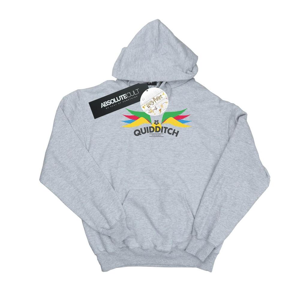 Harry Potter Womens/Ladies Snitch Wings Pastels Hoodie