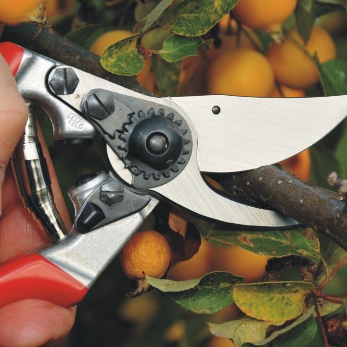 Sécateur - FELCO - 9 - Ergonomique - Gaucher - Haute performance