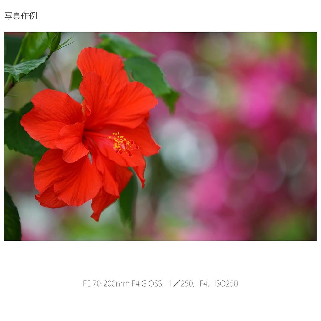 Sony Telephoto Zoom Lens FE F4 G OSS Full Size Compatible 70-200mm