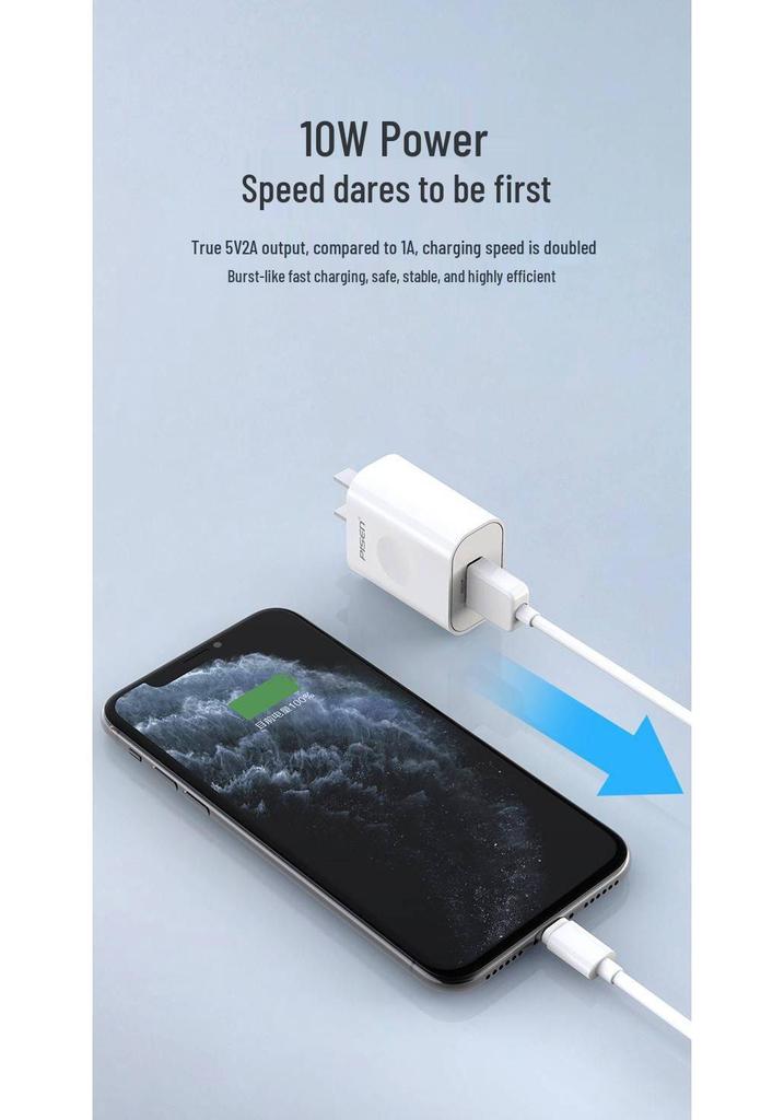 PISEN Двухпортовое USB-зарядное устройство, Быстрая зарядка для Apple, Android и планшетов.