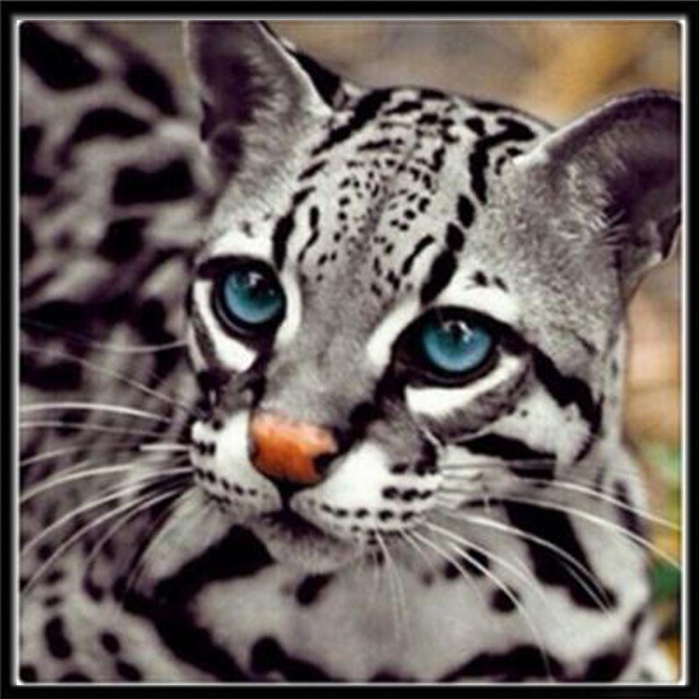 5D алмазная живопись, полная алмазная живопись, животное, собака, Алмазная мозаика, тигр, лев, сделай сам, круглая алмазная вышивка, вышивка крестом, стразы, искусство