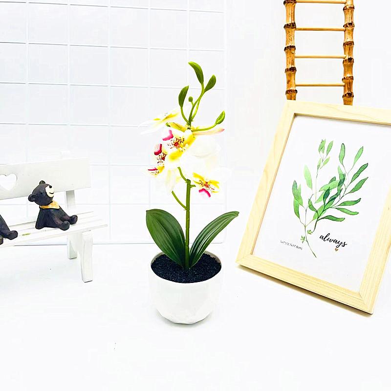 Potted Simulated Phalaenopsis Artificial Artificial Flower Desktop Ornament