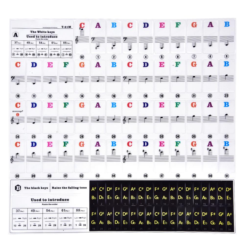Piano Keys Sticker Set for Key Keyboards Removable for Beginners T21 M (Multicolor)