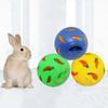 Interactive Rabbit Treat Ball PVC Cat Slow Feeder Practical Guinea Pig Leak Feeder Chinchilla