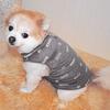  Pet Dog Villus Warm Vest Puppy Doggy Apparel Clothing