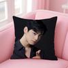 C-Cha E-Eun Woo Чехол для кушона Удобный двусторонний чехол для подушки Идеально подходит для автомобиля, дивана, спальни и т. д.