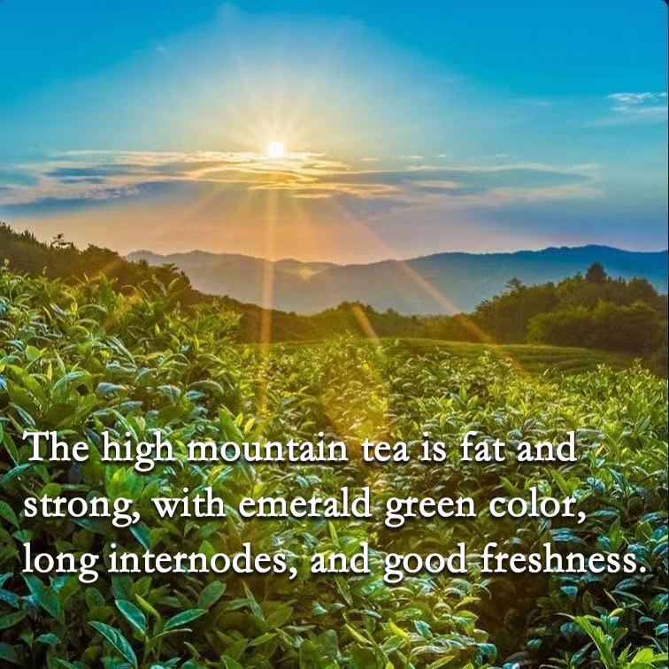 HelloYoung Тайваньский молочный улун 250г Сильный аромат, устойчив к завариванию