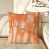Brand FFREITAG Cushion Cover Pillow Case Antidustmite Pillowcase Silky Short Plush Sofa Cushion Cover hot