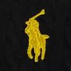 Polo Ralph Lauren SS24 Sweater Standard Men's Black MNPOSWE16821772-001