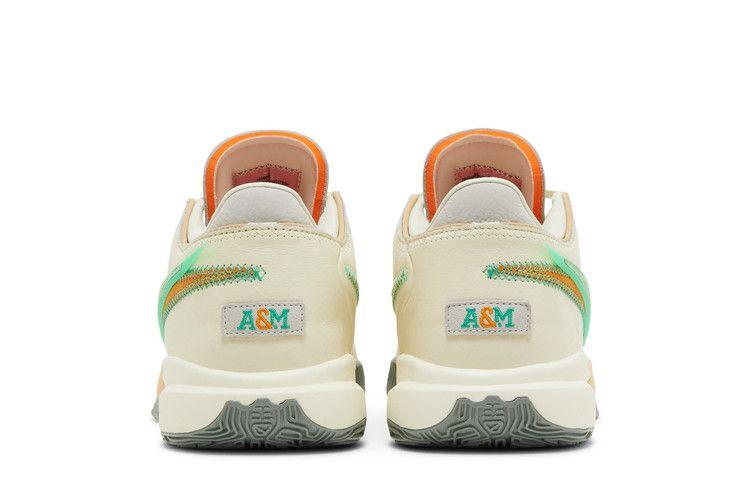 Университет Флориды A&M x APB. x Nike LeBron 20 'От Талли до Ву
