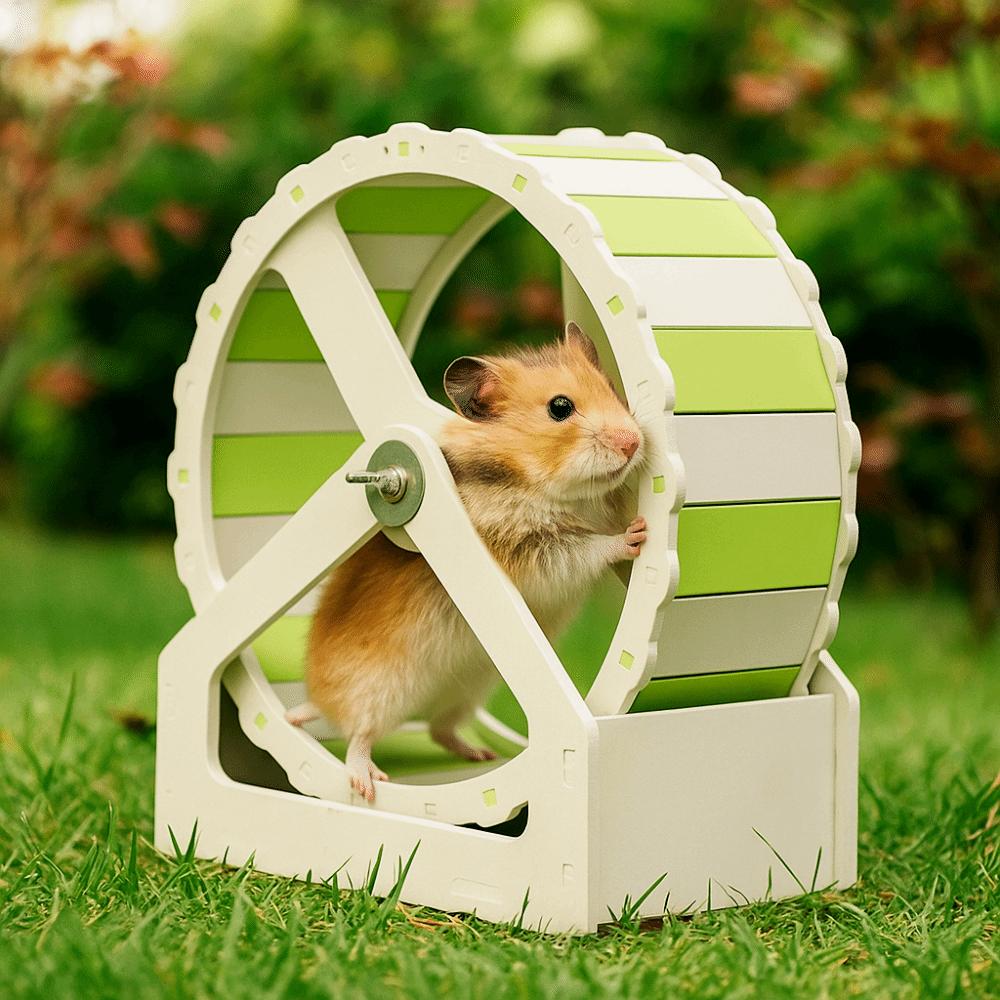 Animal Plastic Hamster Running Wheel Silent Stable Base Rodent Running Wheel 21cm Colorful Exercise Wheel for Small Animals