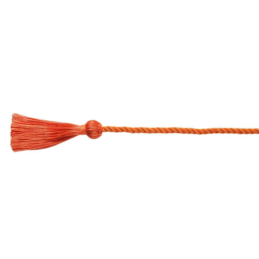 Supplies Polyester Craft Braided Graduation Honor Cords Yarn Honor Cord Bachelor Gown Tassels Cord