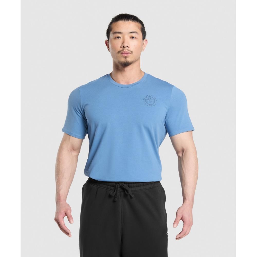 Gymshark Футболка Legacy Classic Blue A5a3b Udbr
