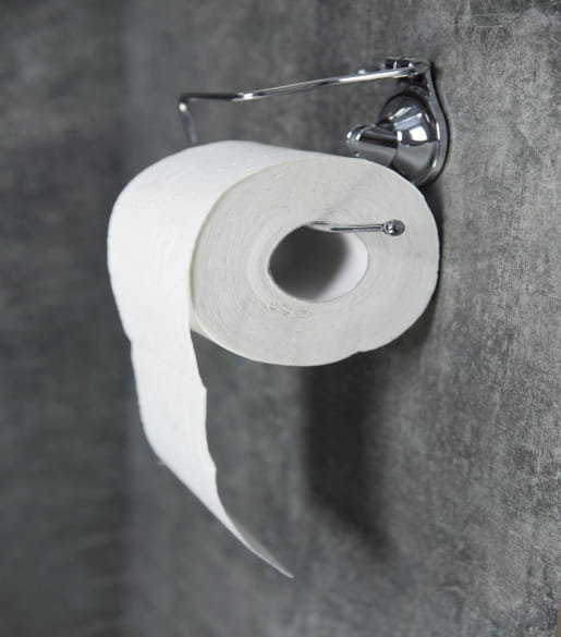Silver steel toilet paper holder