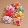 Bohemian Styling Hairpins Shark Clip Barrettes Colorful Hair Claw  Women