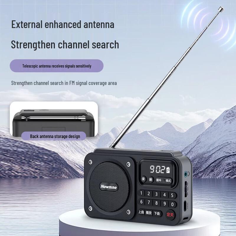 Портативное FM-радио и Bluetooth-колонка Newmine N123 (Китайская версия)