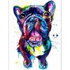 Милая собака домашнее животное шаблон серии 5D DIY Алмазная картина Алмазная вышивка Мозаика Изображение Стразы