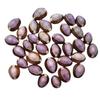Energy Shell Meditation Shell Good Luck Shell Purple Mussel Shell, Can Be Stuck On The Fridge Or Put In The Bag.