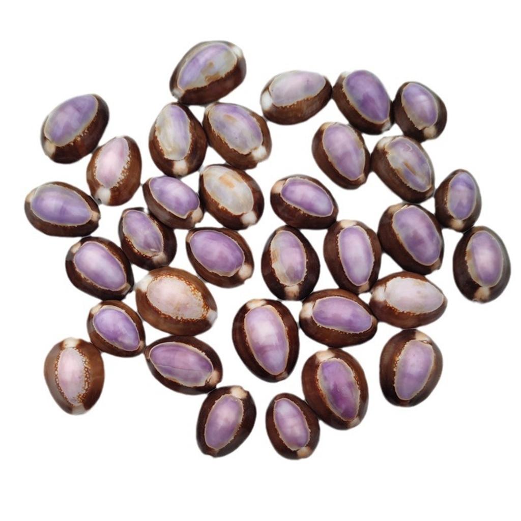 Energy Shell Meditation Shell Good Luck Shell Purple Mussel Shell, Can Be Stuck On The Fridge Or Put In The Bag.