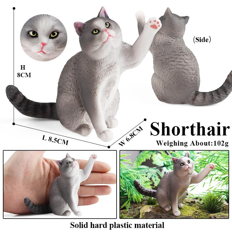 Oenux Кошачий игровой комплекс Китти Бобтейл Сиамский Сфинкс Регдолл Модель Фигурка Фигурка Милое украшение Домашнее животное Детская игрушка Подарок