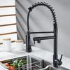 Chrome Spring Kitchen Faucet Pull Down Dual Spouts 360 Swivel Handheld Shower Kitchen Mixer Crane Hot Cold 2 Outlet Spring Taps