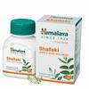 Wellness Pure Herbs Shallaki 60 Tablets FREE SHIPPING WITH FAST DELIVER